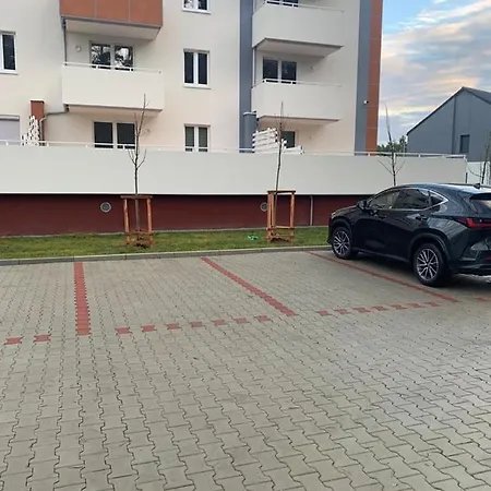 - Brzeska For Lubiń