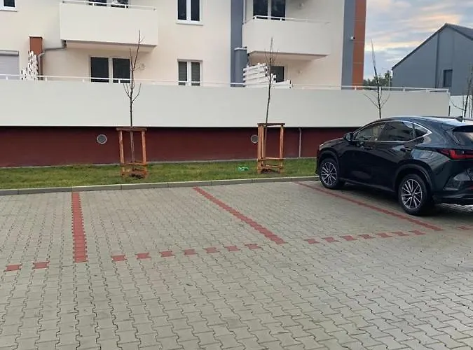 - Brzeska For Любин